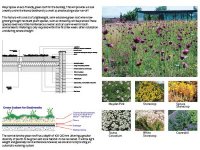 <br>Greenroof Science