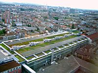 View over Green Roof Basle