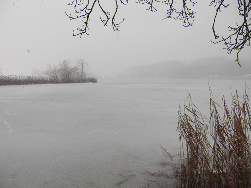 Winteransicht Moossee